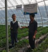 鲁农集团农艺师在东港指导用户用肥